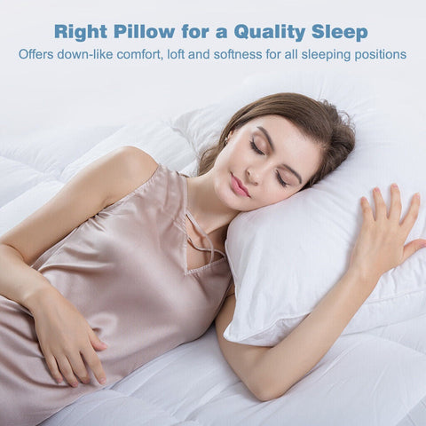 2pc/pack - Hotel Grade Premium Comfort Pillow