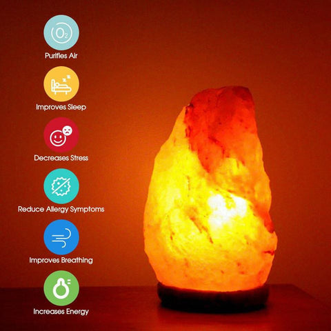 Himalayan Salt Lamp Natural Crystal Rock Shape Dimmer Switch Night Light 1-7 kg