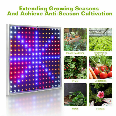 225LED 2000W Grow Light Hydroponic Kits Growing Plant Indoor Lamp