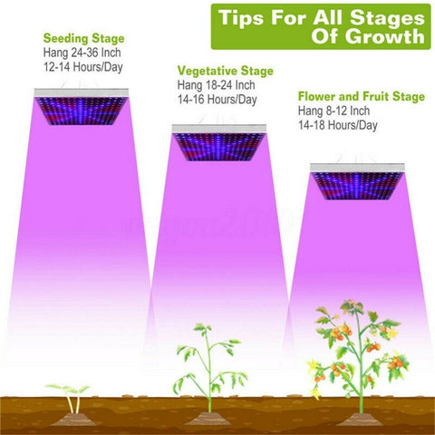 225LED 2000W Grow Light Hydroponic Kits Growing Plant Indoor Lamp