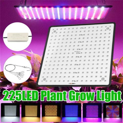 225LED 2000W Grow Light Hydroponic Kits Growing Plant Indoor Lamp