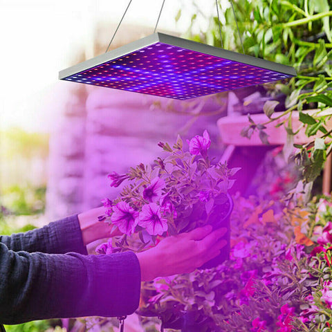 225LED 2000W Grow Light Hydroponic Kits Growing Plant Indoor Lamp