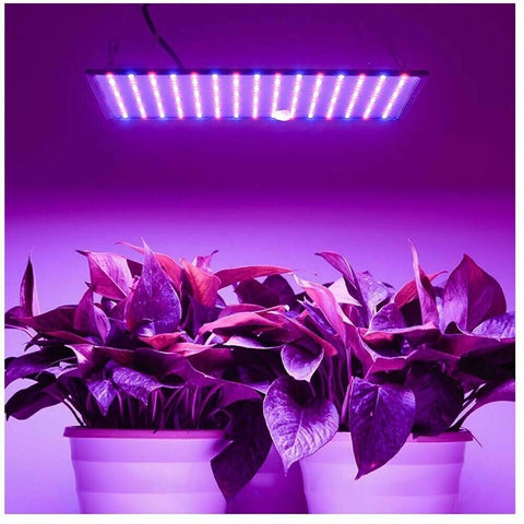 225LED 2000W Grow Light Hydroponic Kits Growing Plant Indoor Lamp