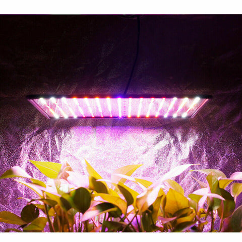 225LED 2000W Grow Light Hydroponic Kits Growing Plant Indoor Lamp