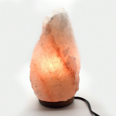 Himalayan Salt Lamp Natural Crystal Rock Shape Dimmer Switch Night Light 1-7 kg