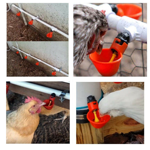 100pcs Automatic Poultry Water Feeder Chicken